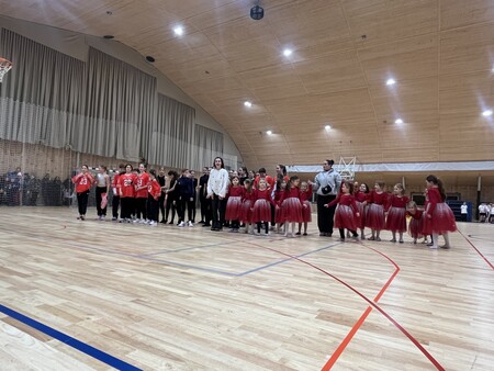 Plesalnica skupinska